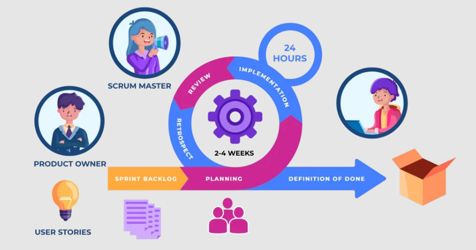 Stages of the scrum process.